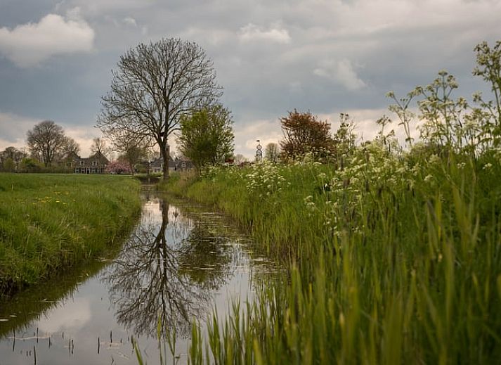 Huisje in Bears, een charmant vakantiehuis op het Friese platteland, met een uitnodigend terras en landelijke architectuur in Friesland.