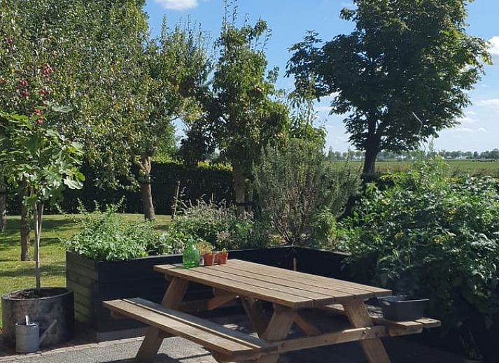 Huisje in Bears, een charmant vakantiehuis op het Friese platteland, met een uitnodigend terras en landelijke architectuur in Friesland.