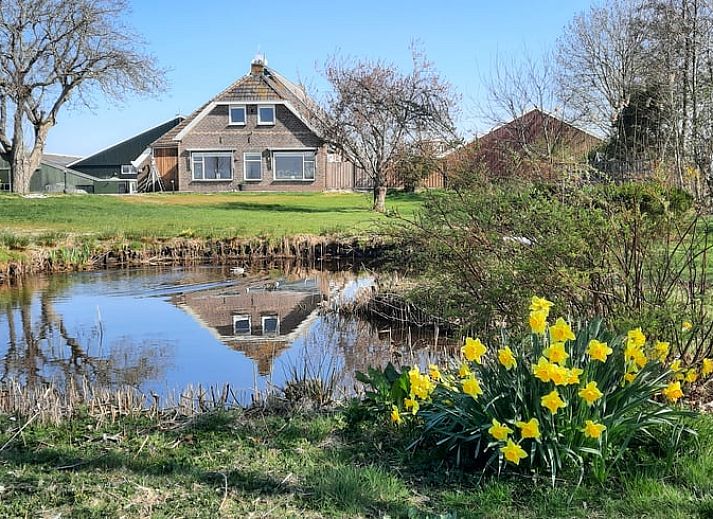 Ferienhaus in Oldelamer, Friesland, umgeben von Natur mit Teich und Blumen, ideal fuer einen entspannten Aufenthalt auf dem friesischen Land.