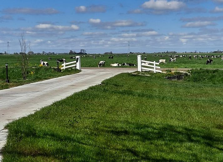 Ferienhaus in Oldelamer, Friesland, umgeben von Natur mit Teich und Blumen, ideal fuer einen entspannten Aufenthalt auf dem friesischen Land.