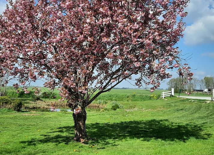 Gemuetliches Wohnzimmer des Ferienhauses in Oldelamer, Ferienhaus auf dem friesischen Land, mit grosszuegiger Sitzecke und Blick auf den Garten.