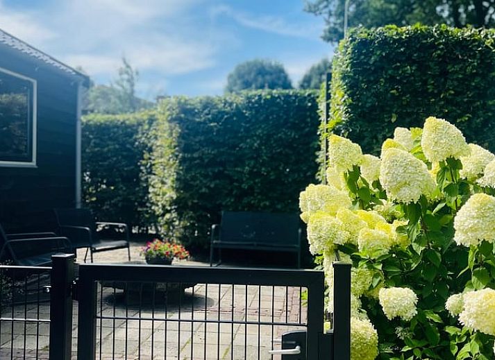 Ontspan op het terras van Vakantiehuisje in Tytsjerk, een charmante vakantiewoning in het Friese platteland, omgeven door groene natuur.