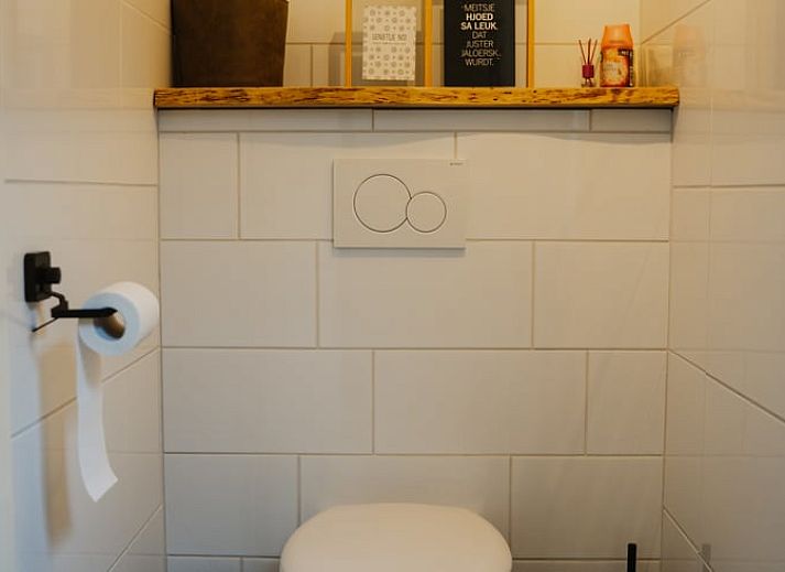 Gezellige binnenruimte van Vakantiehuisje in Tytsjerk, Friesland, met stijlvol interieur en uitzicht op het Friese platteland.