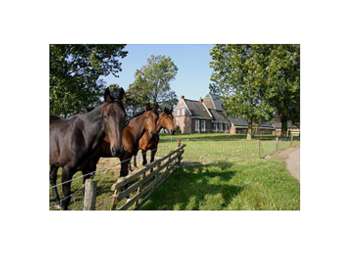 Verblijf 262601 • Bed and breakfast Het Friese platteland • Logement Doosje