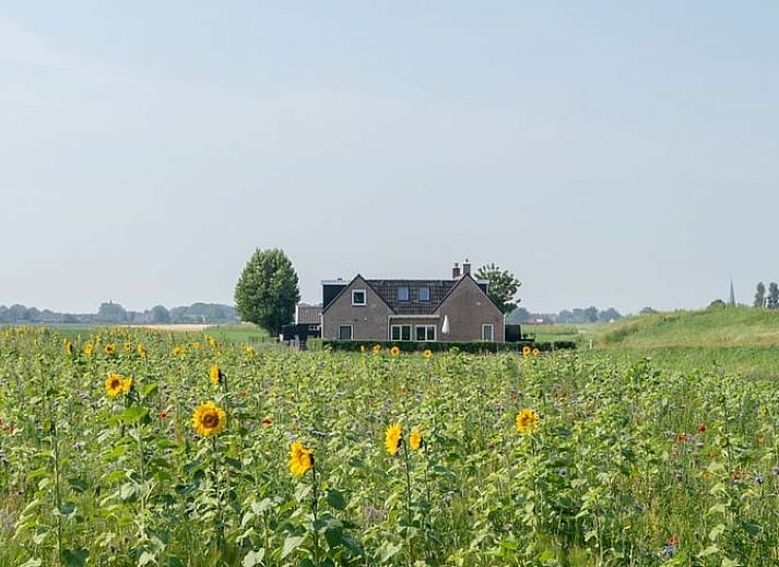 Verblijf 263002 • Vakantiewoning Het Friese platteland • Vakantiehuis in Holwerd 
