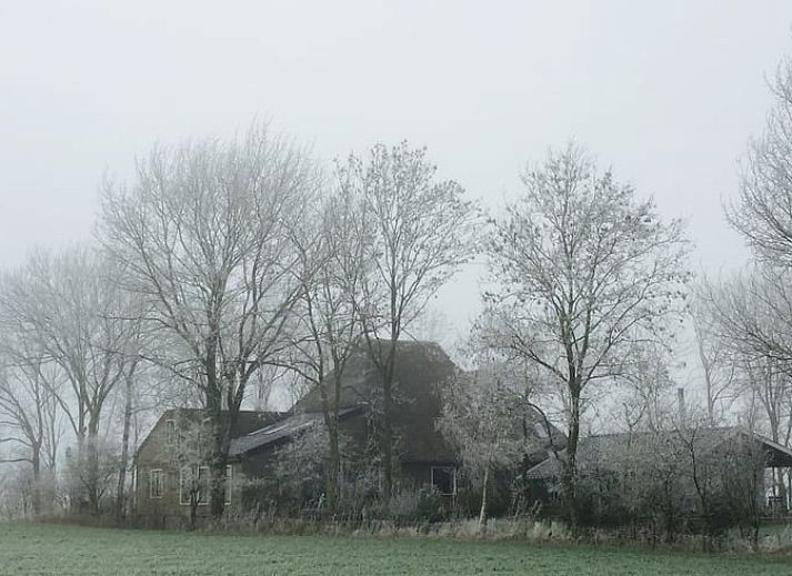 Guest house 263004 - Holiday property Het Friese platteland - Vakantiehuisje in Holwerd