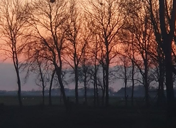 Innenraum mit Blick auf die gruene Landschaft im Ferienhaus in Holwerd, rustikales Ferienhaus in Friesland.