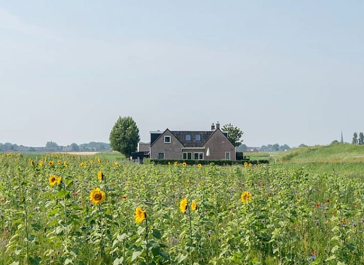 Unterkunft 263006 • Ferienhaus Het Friese platteland • Vakantiehuis in Holwerd