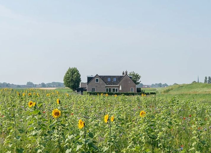 Unterkunft 263006 • Ferienhaus Het Friese platteland • Vakantiehuis in Holwerd 