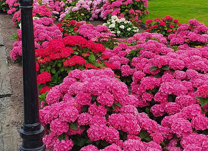 Schlafzimmer im Ferienhaus in Holwerd mit Blick auf die gruene Umgebung von Friesland.