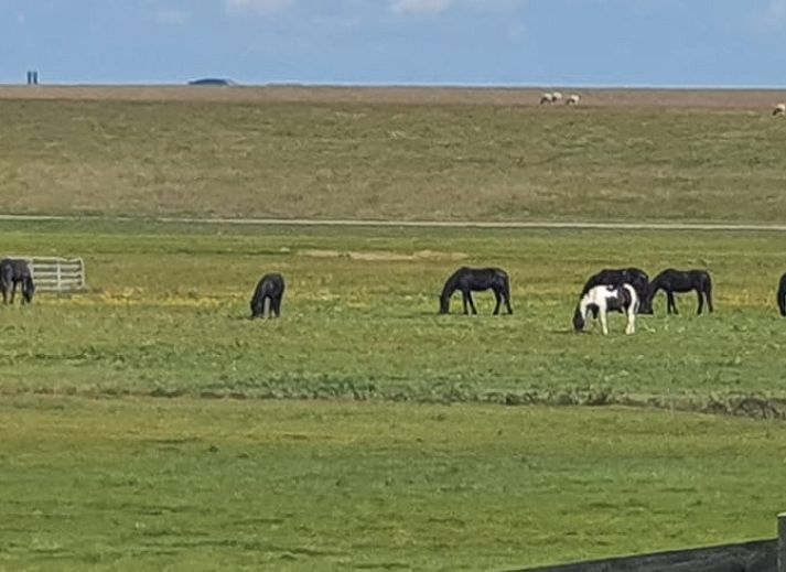 Schlafzimmer im Ferienhaus in Holwerd mit Blick auf die gruene Umgebung von Friesland.