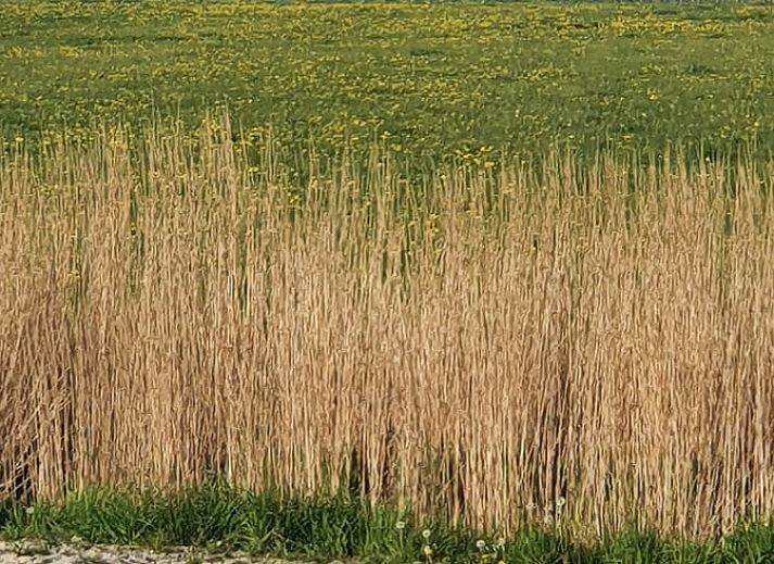 Essecke im Ferienhaus in Holwerd mit ruhigem Blick auf die friesische Landschaft.