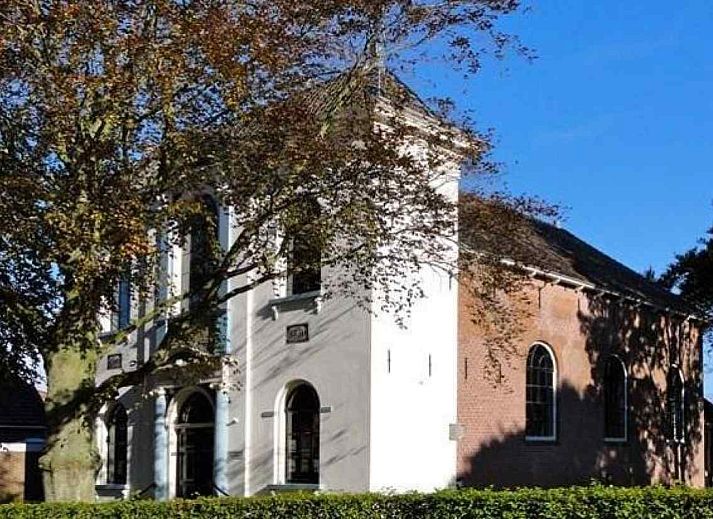 Schotse hooglanders in de natuur rondom vakantiehuis FR1023 in Holwerd, Friesland.