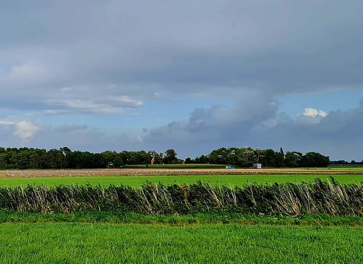 Verblijf 263011 - Vakantiewoning Het Friese platteland - Huisje in Holwert