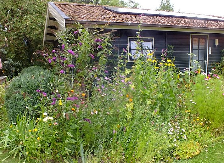 Verblijf 263403 • Vakantiewoning Het Friese platteland • Huisje in Idsegahuizum (Makkum) 