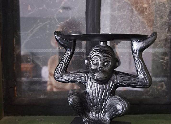 Gezellige kamer met twee eenpersoonsbedden in Huisje in Wommels, Friesland.