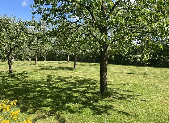 Bright and spacious interior of Holiday home in De Tike, perfect for relaxation in Friesland.