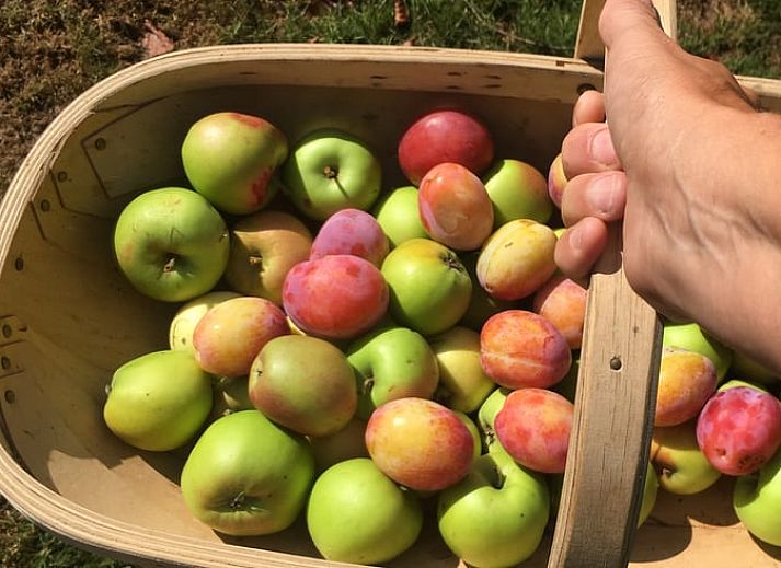 Cozy sitting area in Holiday Home in De Tike, ideal for a quiet vacation in Friesland.