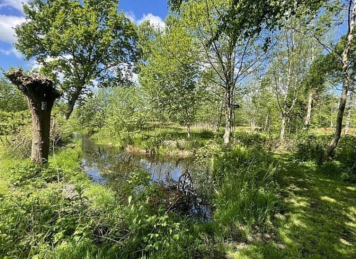Cozy sitting area in Holiday Home in De Tike, ideal for a quiet vacation in Friesland.
