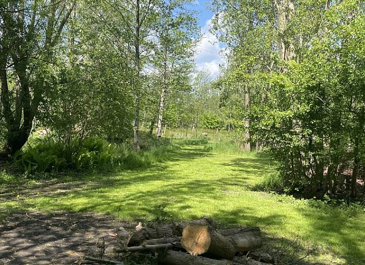 Cozy sitting area in Holiday Home in De Tike, ideal for a quiet vacation in Friesland.