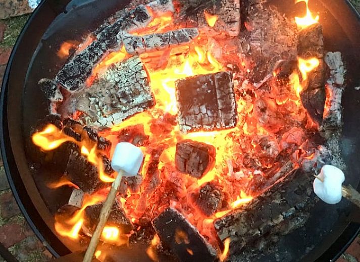 Cozy sitting area in Holiday Home in De Tike, ideal for a quiet vacation in Friesland.