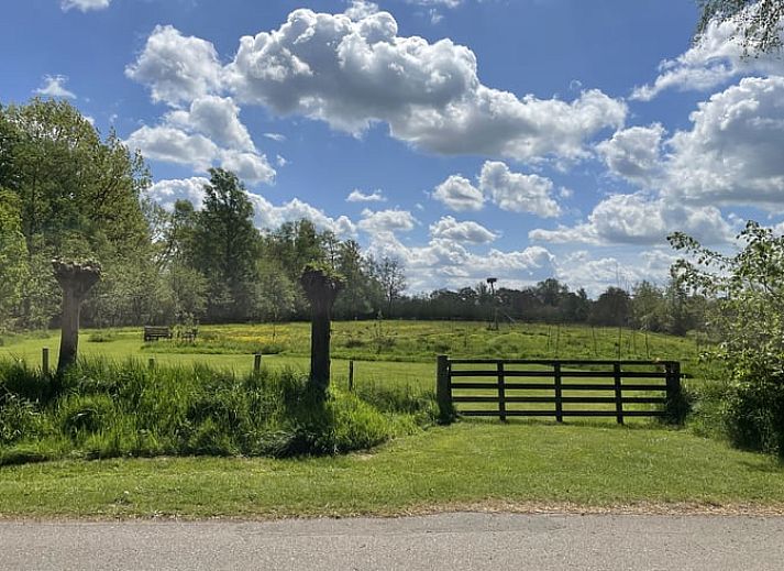 Outdoor terrace of Holiday Home in De Tike, surrounded by nature in the Frisian countryside.