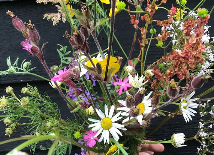 Outdoor terrace of Holiday Home in De Tike, surrounded by nature in the Frisian countryside.