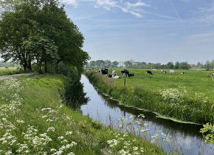 Picnic table on the terrace of Holiday Home in De Tike, ideal for outdoor meals in Friesland.