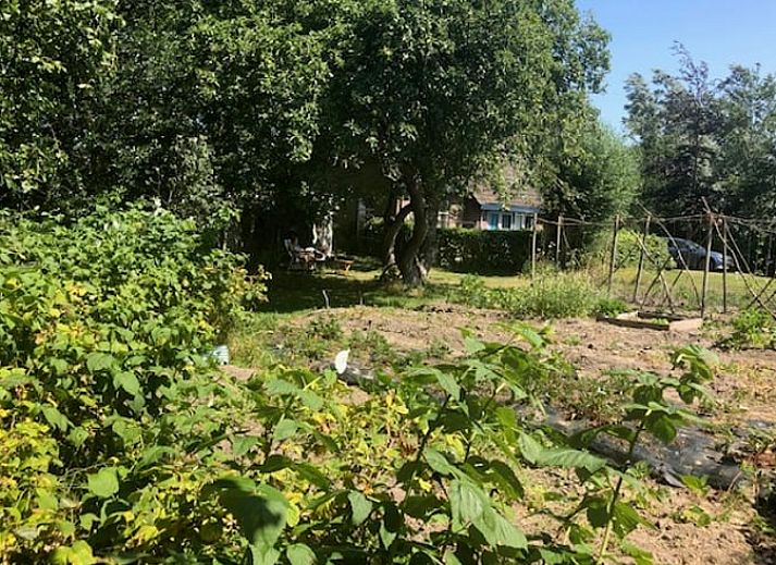 Unterkunft 264302 - Ferienhaus Het Friese platteland - Huisje in Kollum