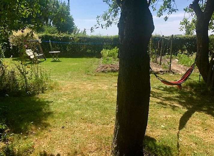 Unterkunft 264302 - Ferienhaus Het Friese platteland - Huisje in Kollum