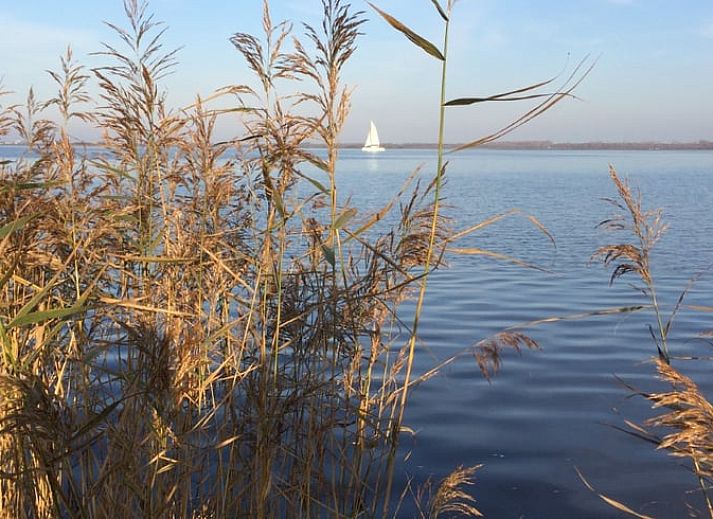Unterkunft 264302 - Ferienhaus Het Friese platteland - Huisje in Kollum