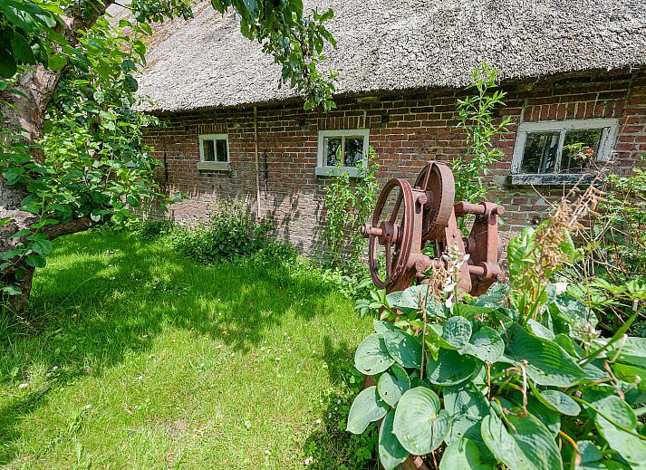 Guest house 264303 - Apartment Het Friese platteland - Lauwerspleats