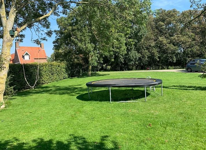 Unterkunft 264402 - Ferienhaus Het Friese platteland - Huisje in Pingjum