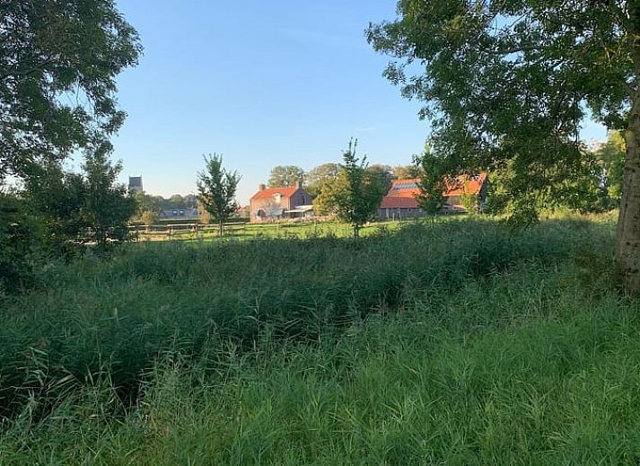 Unterkunft 264402 - Ferienhaus Het Friese platteland - Huisje in Pingjum