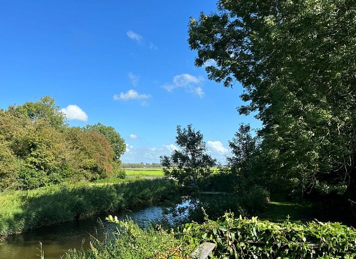 Unterkunft 264402 - Ferienhaus Het Friese platteland - Huisje in Pingjum
