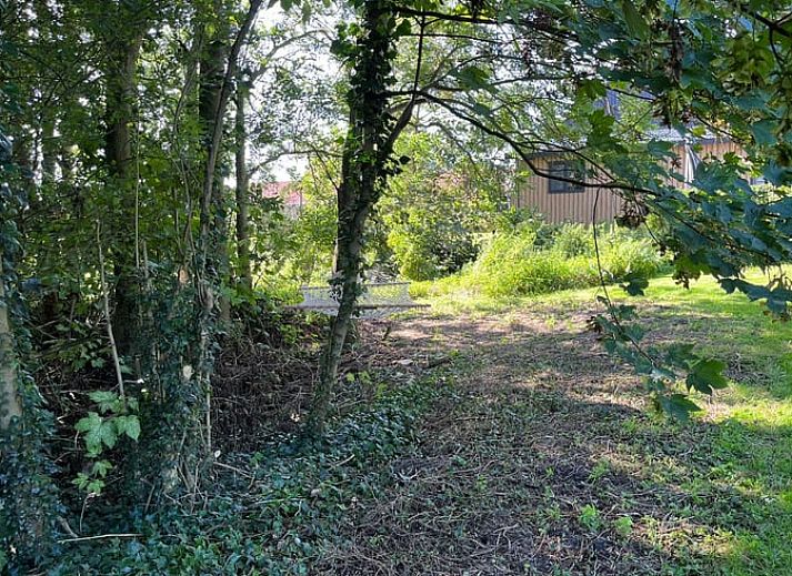 Unterkunft 264402 - Ferienhaus Het Friese platteland - Huisje in Pingjum