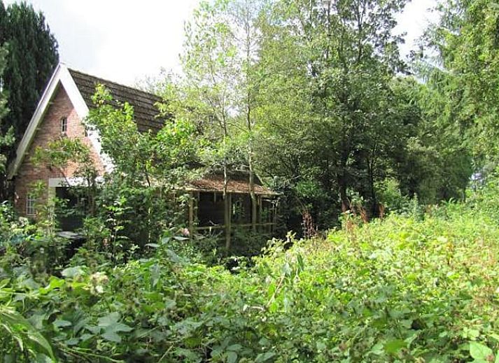 Verblijf 264603 • Vakantiewoning Het Friese platteland • Natuurhuisje in Twijzelerheide