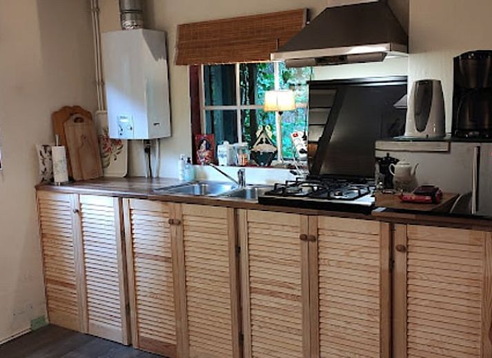 Huisje in Twijzelerheide omgeven door weelderige natuur op het Friese platteland, ideaal voor natuurliefhebbers.