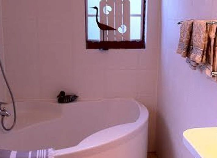 Huisje in Twijzelerheide omgeven door weelderige natuur op het Friese platteland, ideaal voor natuurliefhebbers.