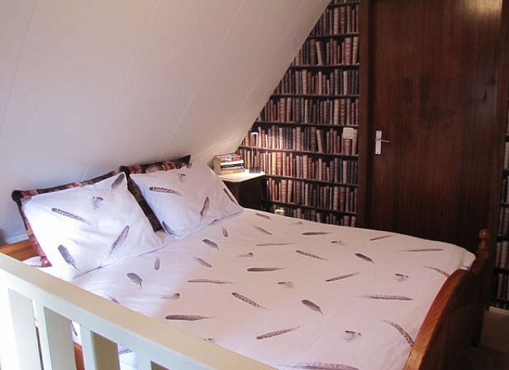 Huisje in Twijzelerheide omgeven door weelderige natuur op het Friese platteland, ideaal voor natuurliefhebbers.