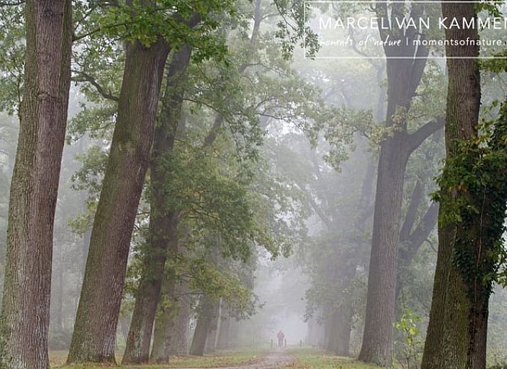 Gezellige woonkamer in Huisje in Twijzelerheide, vakantiehuis in Friesland met comfortabele zithoek.