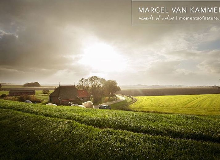 Volledig uitgeruste keuken in Huisje in Twijzelerheide, vakantieaccommodatie op het Friese platteland.