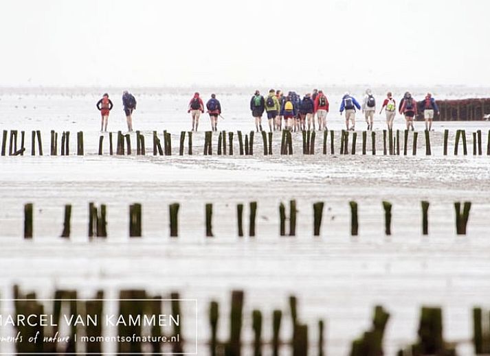Volledig uitgeruste keuken in Huisje in Twijzelerheide, vakantieaccommodatie op het Friese platteland.