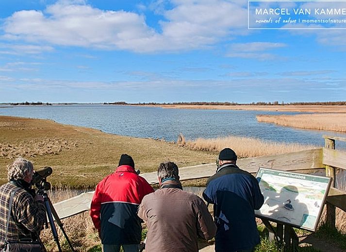 Volledig uitgeruste keuken in Huisje in Twijzelerheide, vakantieaccommodatie op het Friese platteland.