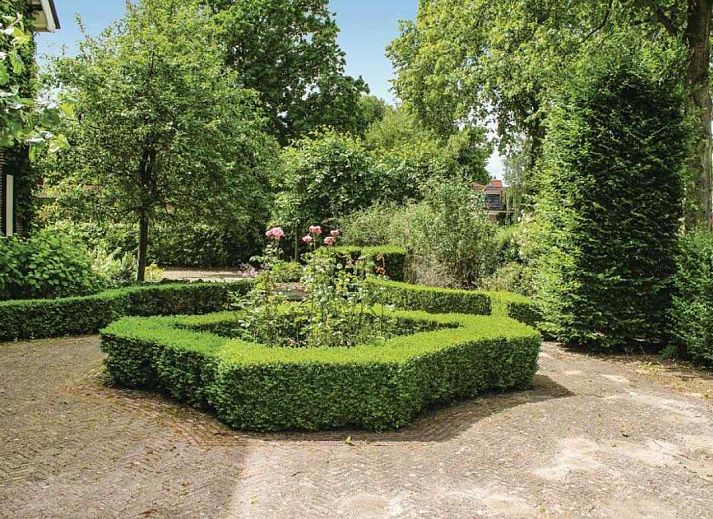 Guest house 265003 - Holiday property Het Friese platteland - FR020