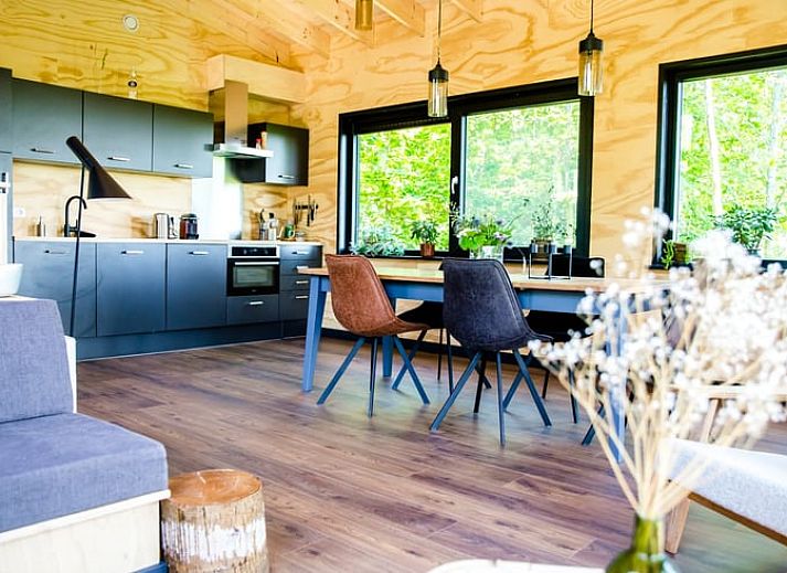 Huisje in Nes, Friesland met houten terras en groene omgeving voor een ontspannen vakantiehuis ervaring.