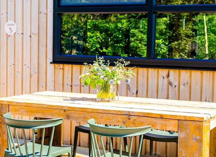 Gezellige woonkamer in Huisje in Nes, Friesland, met moderne inrichting en uitzicht op de natuur.