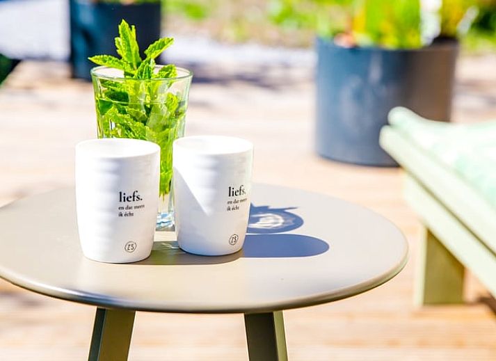 Gezellige woonkamer in Huisje in Nes, Friesland, met moderne inrichting en uitzicht op de natuur.