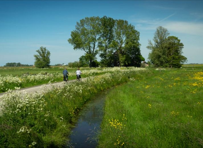 Overzicht van Huisje in Nes, Friesland, omgeven door groen en water voor een serene vakantie.