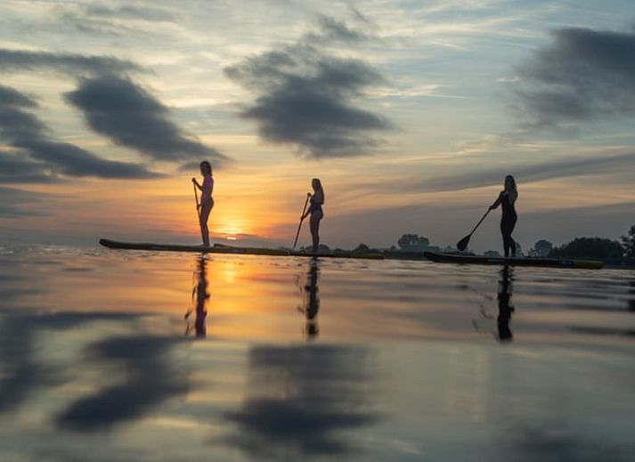 Overzicht van Huisje in Nes, Friesland, omgeven door groen en water voor een serene vakantie.